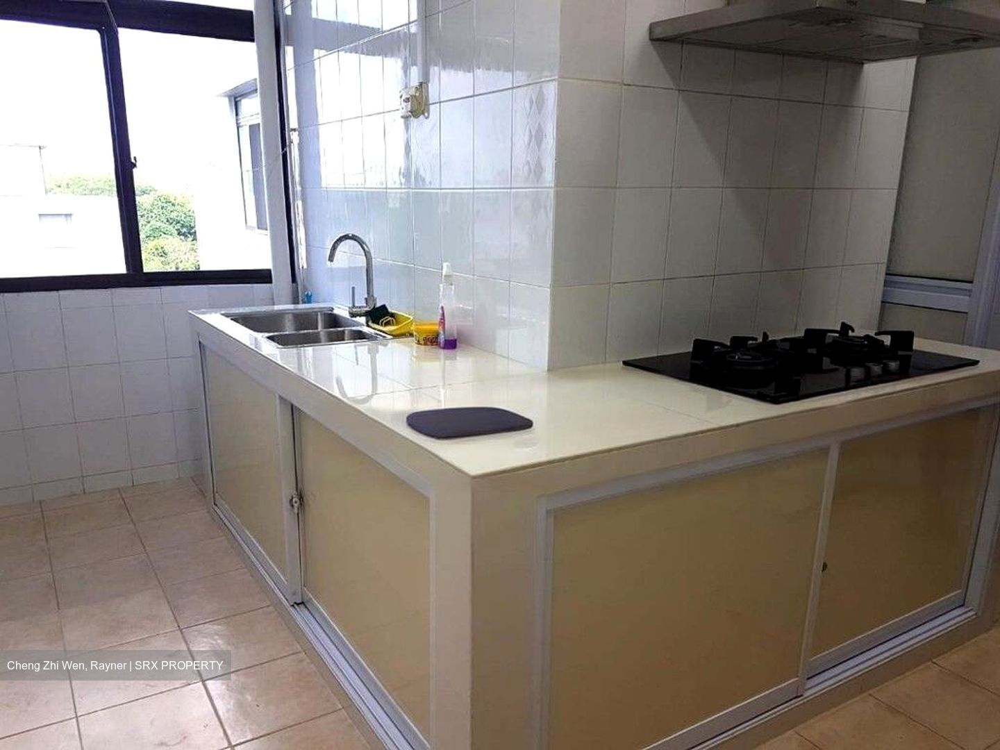 Botanic Gardens View (D10), Apartment #501622751